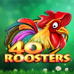 40 Roosters